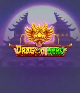 Enter a fantastic quest with Dragon Hero by Pragmatic Play, showcasing breathtaking visuals of powerful dragons and epic encounters. Explore a land where magic meets thrill, with featuring enchanted weapons, mystical creatures, and treasures for a captivating gaming experience.